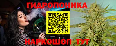 шишки Берёзовский