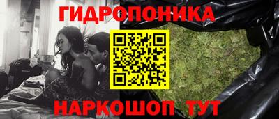 PSILOCYBIN Бийск